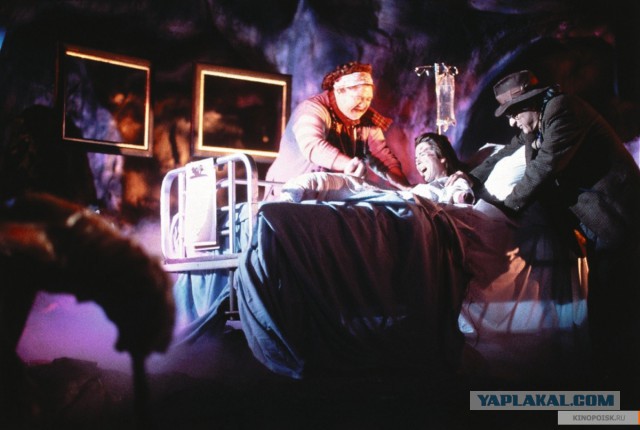 Щенок, потерявший все свои 4 лапы в корейской мясной лавке, обрел новый дом