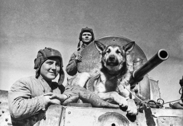 Великая Отечественная война: реальные лица со старых фотографий