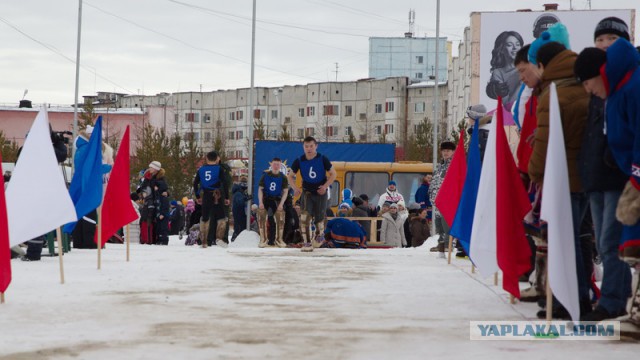 Новый Уренгой-Надым, покатушки  в выходные на День Оленевода