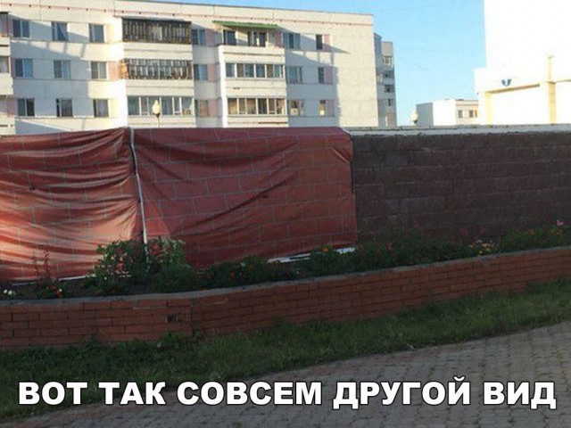 Подборка безудержного веселья