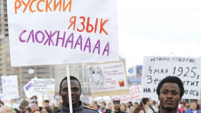 Подборка безудержного веселья