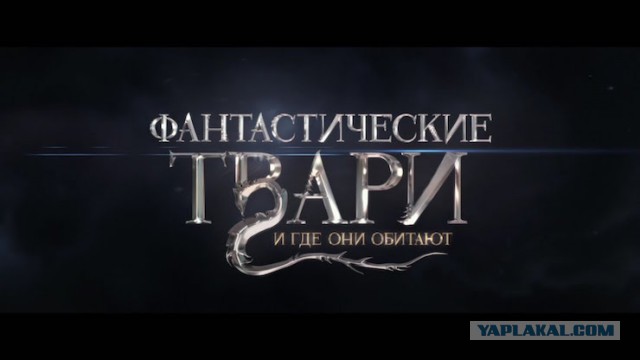 Ох и нелёгкая эта работа - быть депутатом