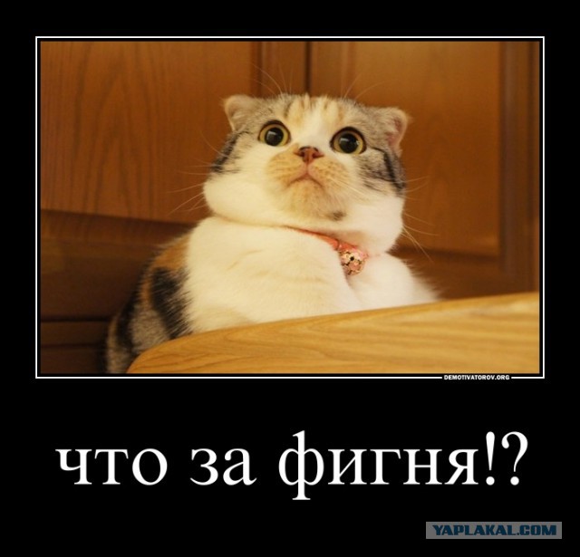 Вещи, которые делает каждый, но не признается в этом