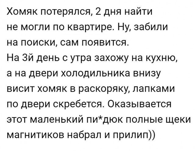 Опять соцсети...