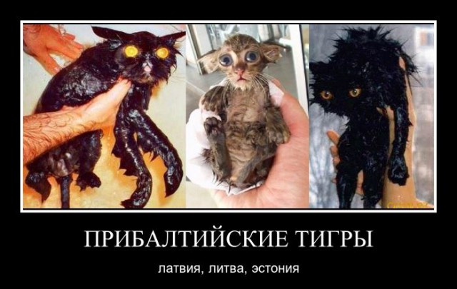 Представители Эстонии, Латвии и Литвы попросили не называть их страны бывшими советскими республиками