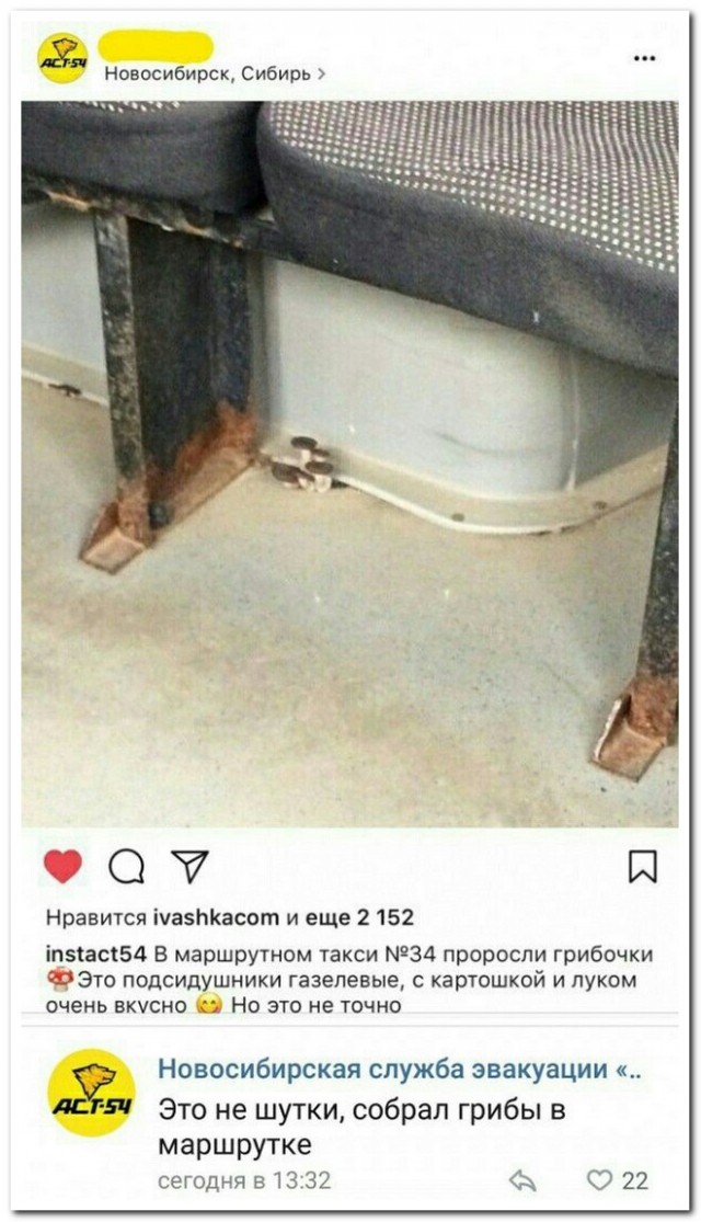 Подборка интересных и веселых картинок