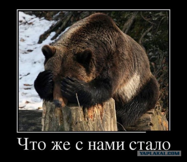 Прогулка в соц. сети или "что такое ВПИСКА". 31 фото