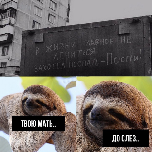 Нестандартный юмор