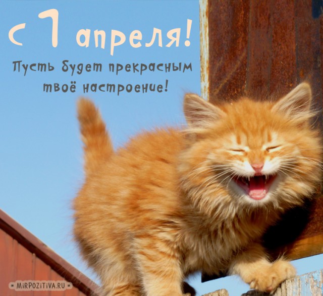 Итоги проверки пользователей
