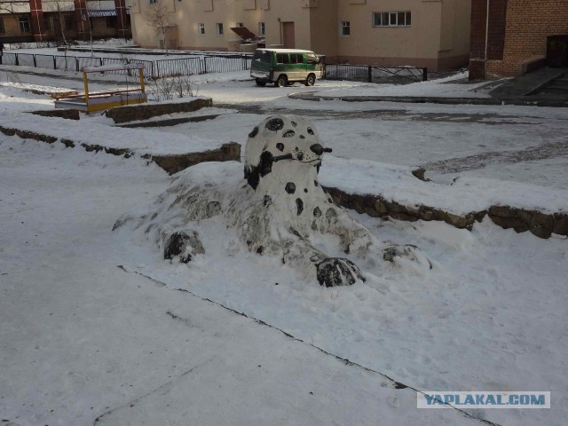 Я живу в Тынде