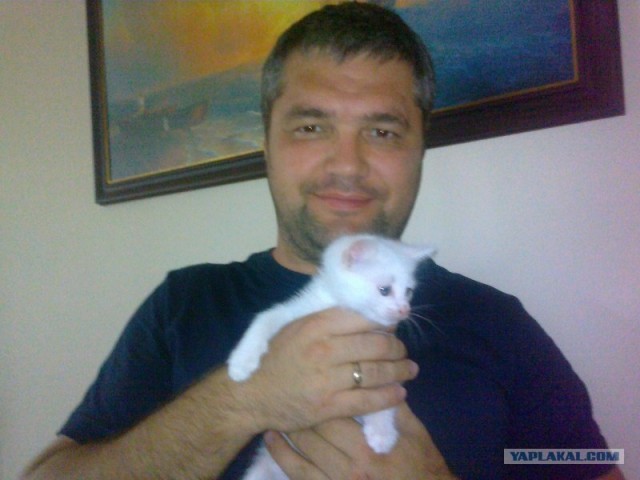 Котовторник  17.07.2012