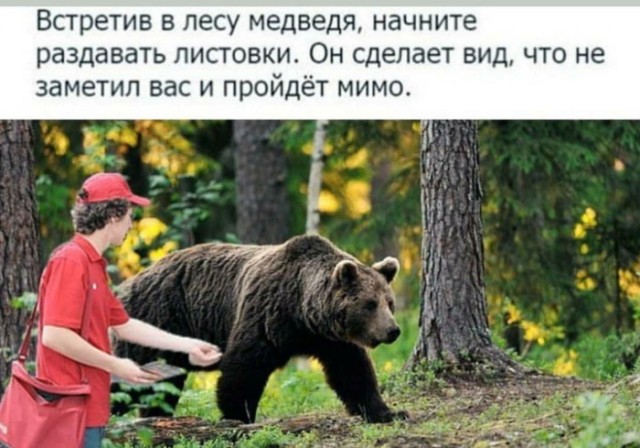 Нестандартный юмор