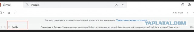 10 лет брака псу под хвост