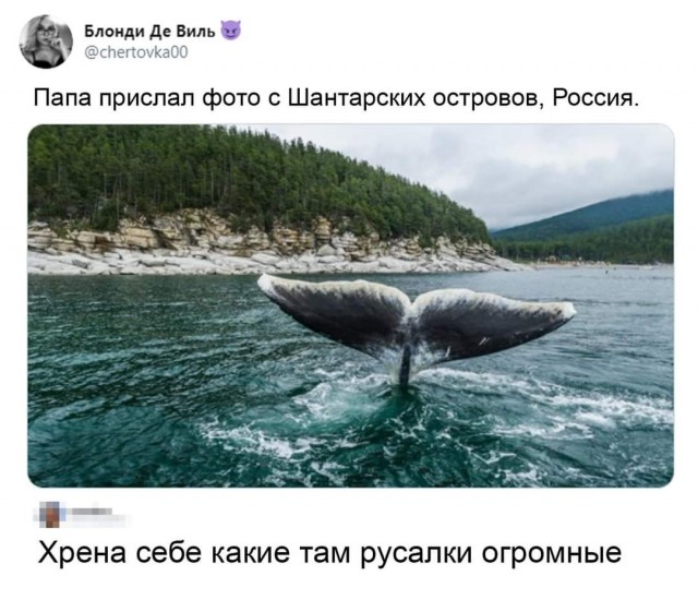 Смешные комментарии из социальных сетей 28.08.2020
