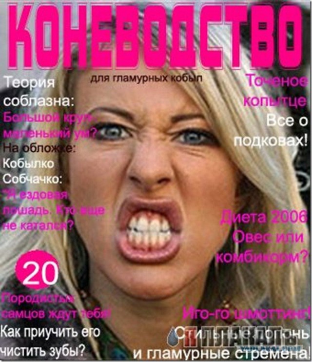 Лошадка и велосипедист