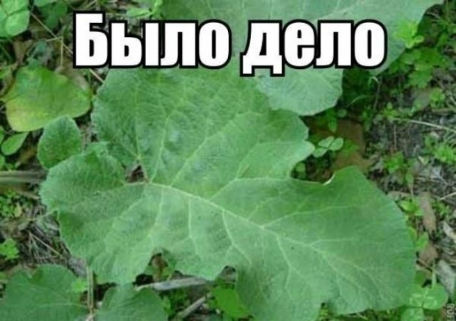 Так себе картинки 03.04.21