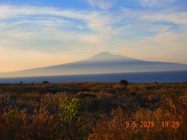 #ДРЯПикник2021! Компот из мяса.