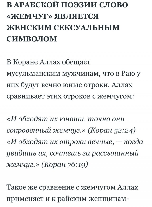 «Я мусульманин, религиозный человек, и несмотря на это, трахаюсь с мужиками».  Берлин