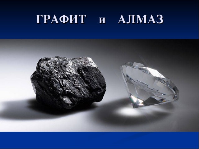 60 удивительных фактов о природе