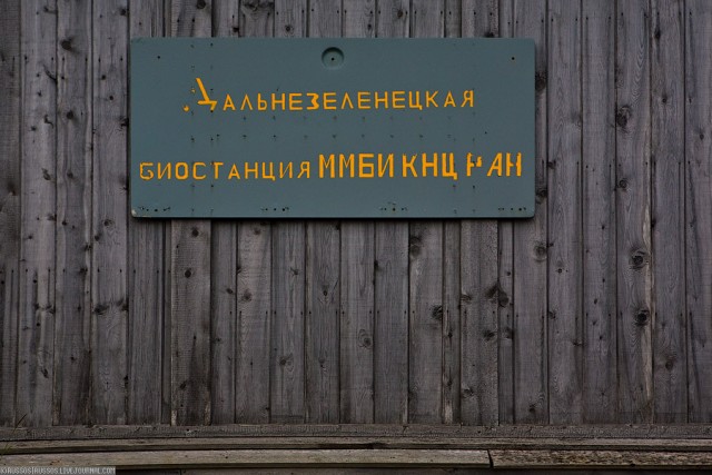 Самый северный институт