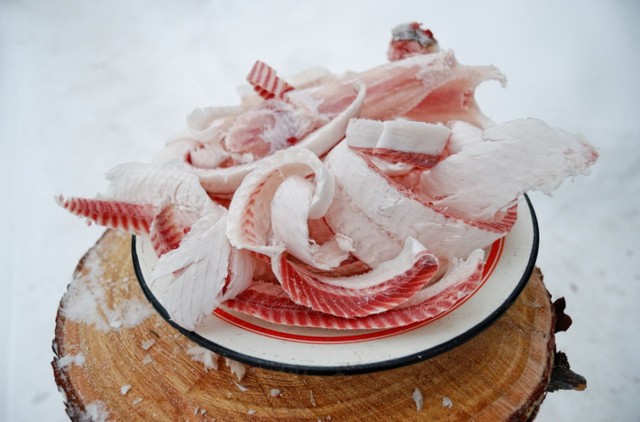 Рыба Северная, наше всё