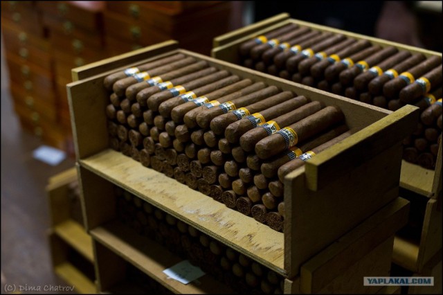 Сигарная фабрика Cohiba