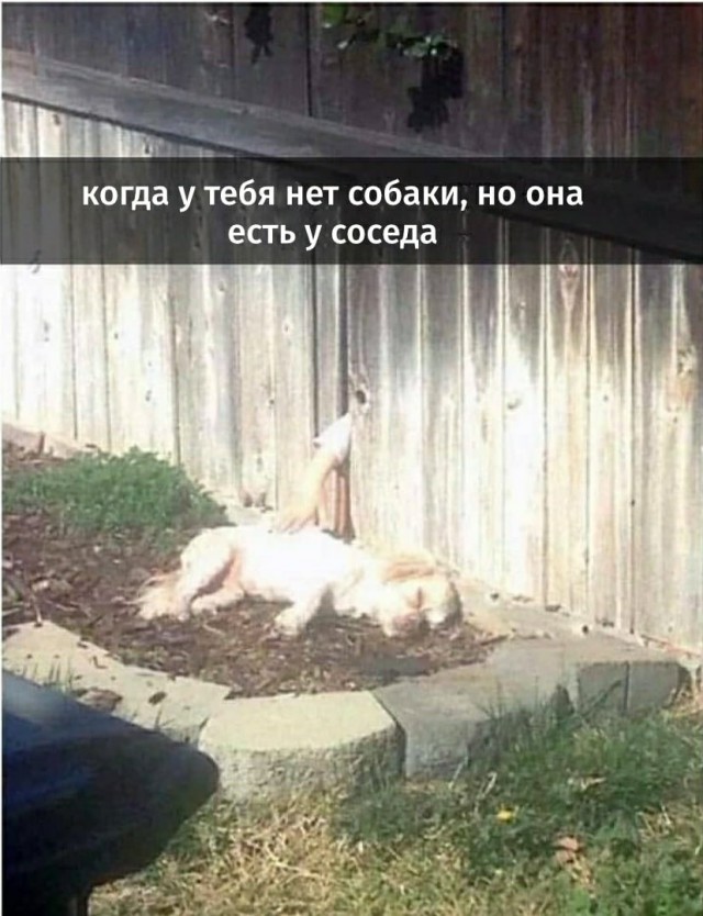 Так себе картинки 01.05.22