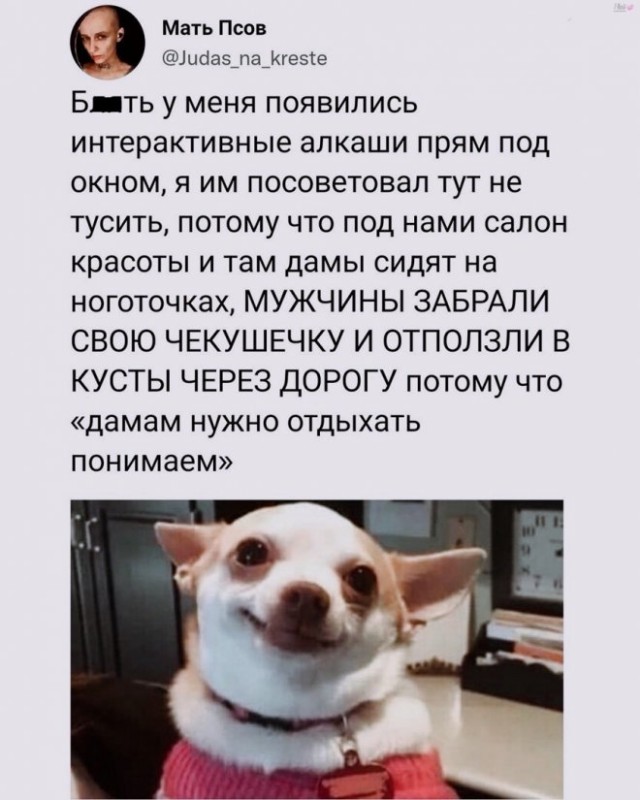 Картинки и мемы, всем хороших выходных