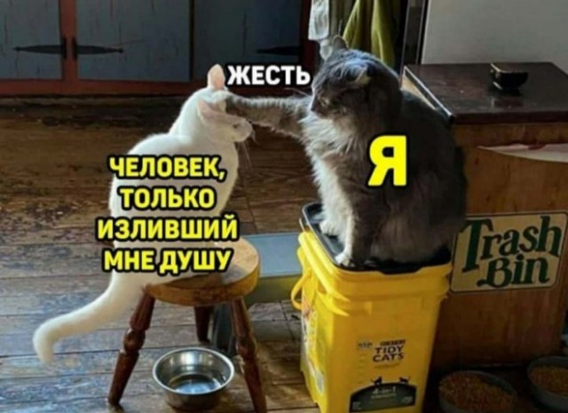 Картинки и мемы для настроения - 21