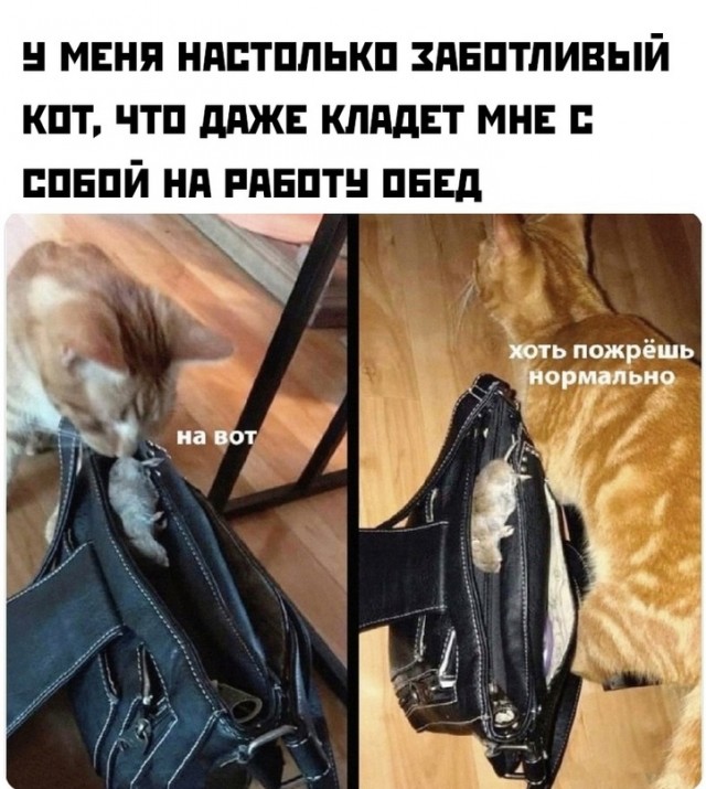 Картинки и мемы для настроения - 119