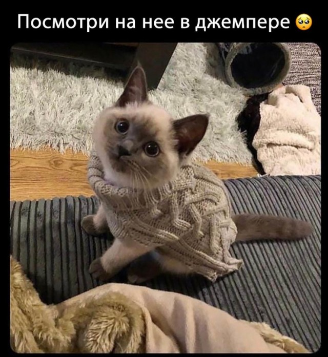 Немного картинок для настроения - 131
