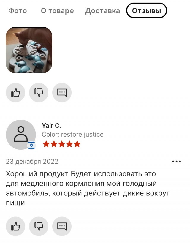 Как занять кота надолго