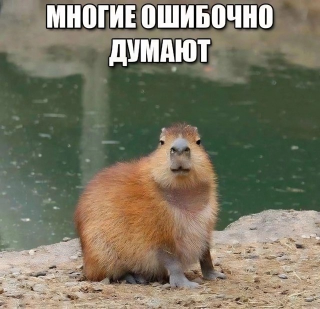 Нуштош 14.03.23