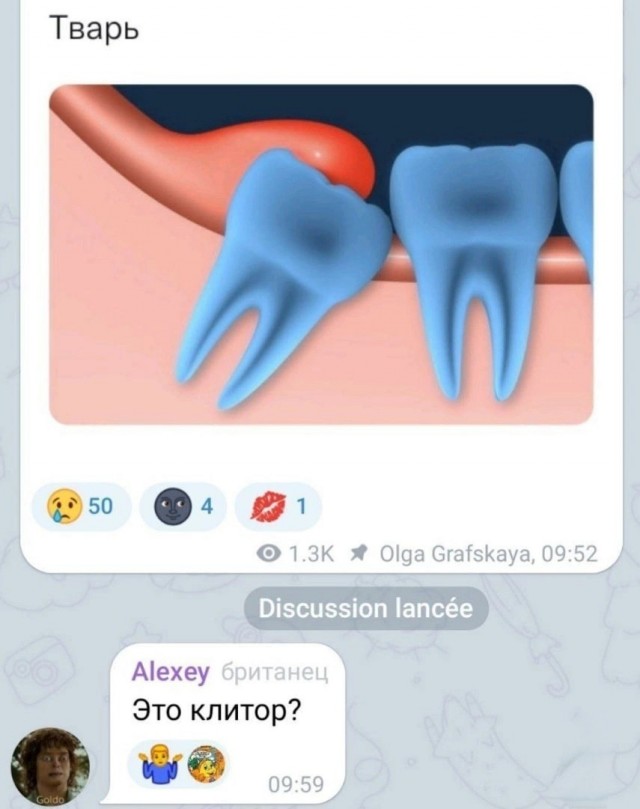Нуштош 16.03.23