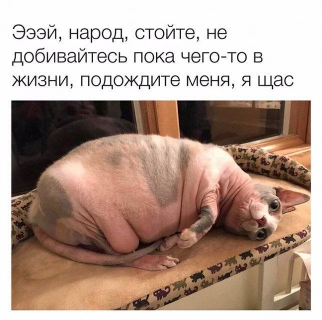 Всего понемногу. От 17.04.23