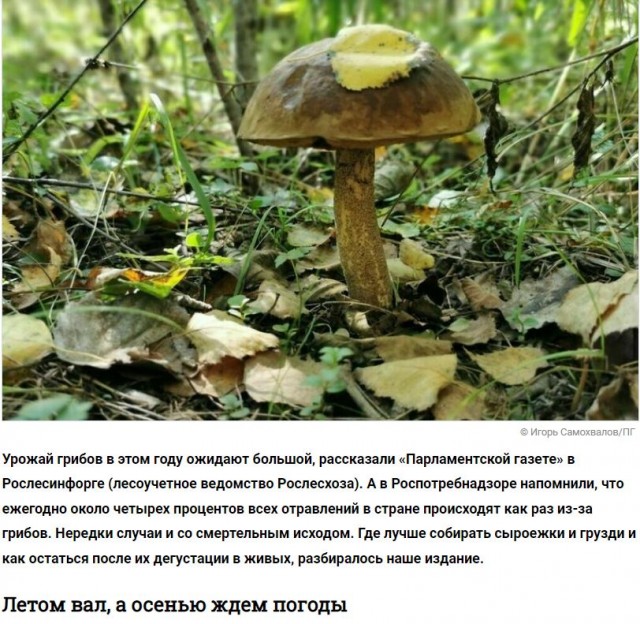 Демократия в опасности!