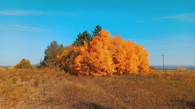 Осень золотая