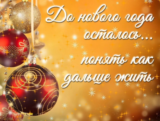 Всего понемногу. От 08.12.23