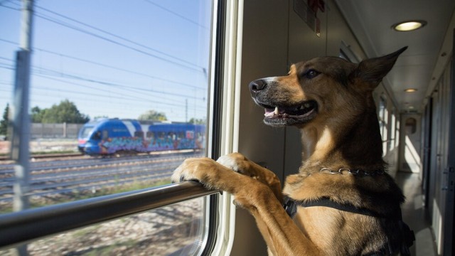 Понеслось