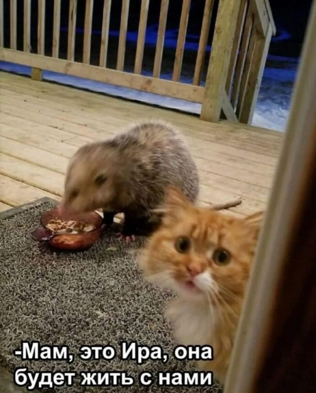 Посмеялся сам - поделись с другом!!!