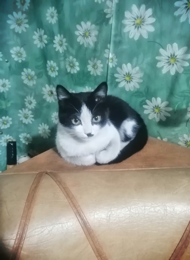 Опять стал рабом