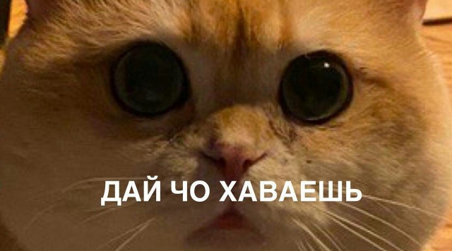 Всего понемногу. От 27.09.24