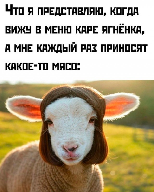 Веселые картинки в понедельник (17.02)