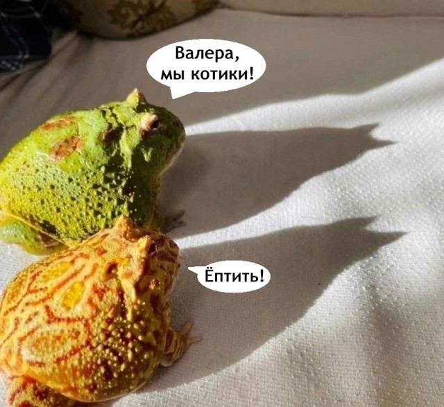 Так себе картинки 22.03.25