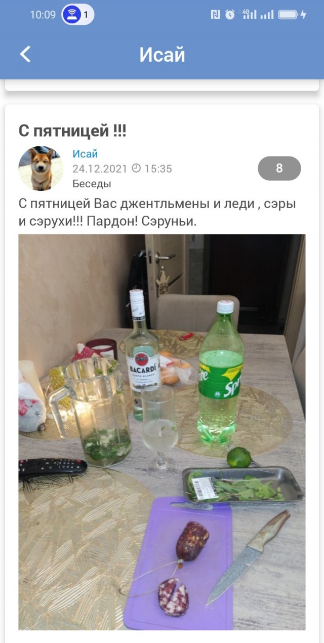 Спящий кот