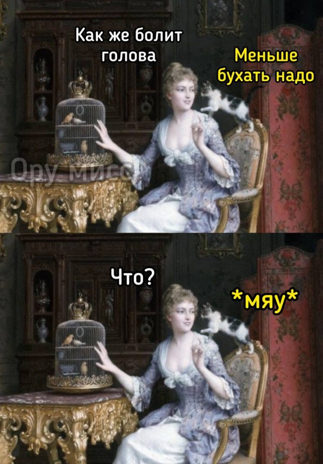 Веселые картинки в пятницу (04.07)