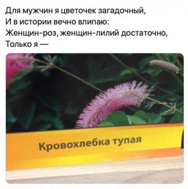 Веселые картинки в понедельник (07.07)