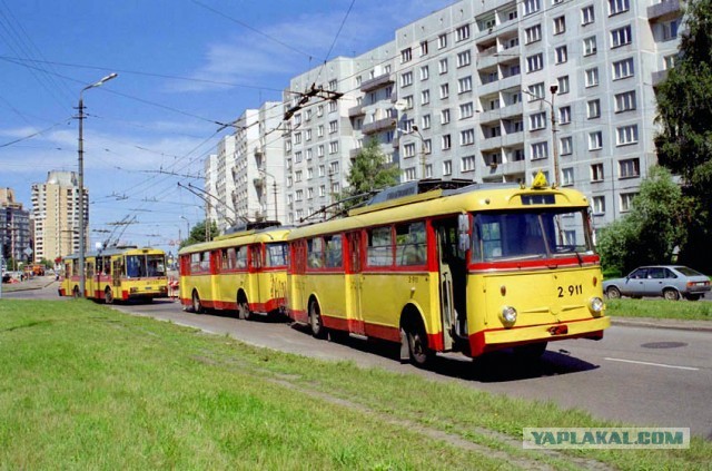 Самый массовый троллейбус мира