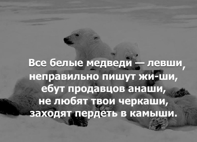 Веселое настроение в картинках 27.07.25