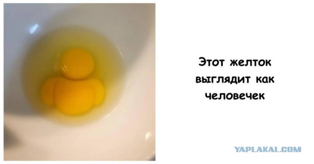 Веселые картинки во вторник (29.07)